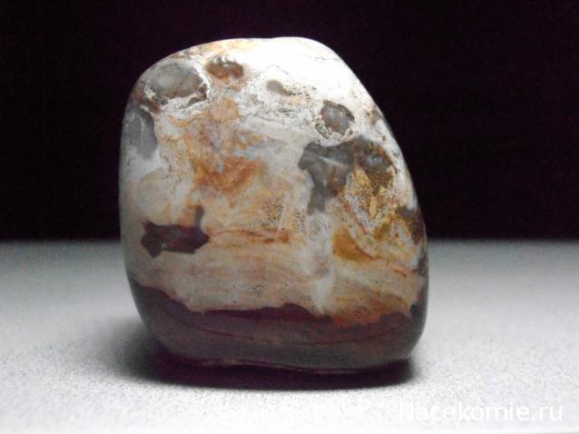 Энергия Камней №32 - Древесный опал