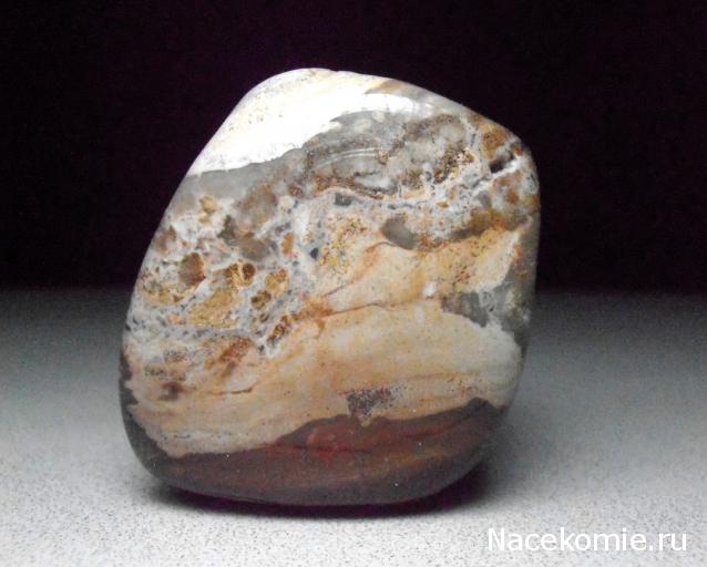 Энергия Камней №32 - Древесный опал