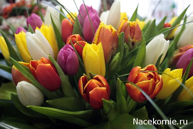 Наши Дни Рождения