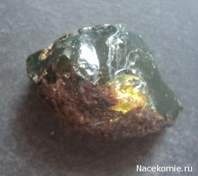 Минералы Сокровища Земли №84 - Янтарь