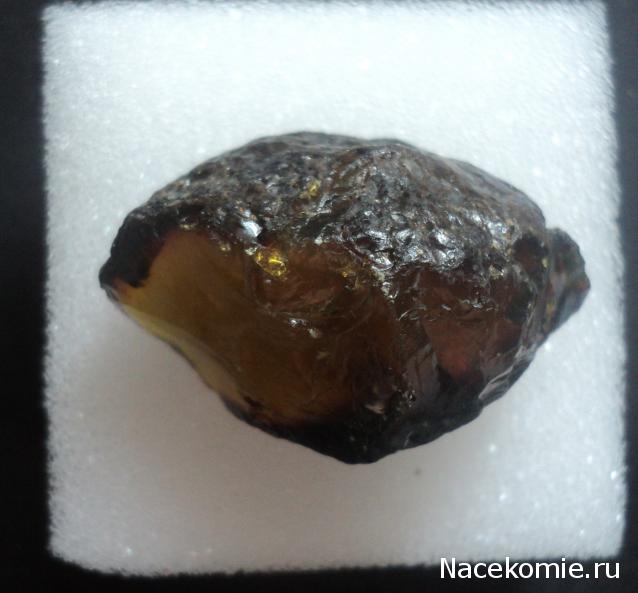 Минералы Сокровища Земли №84 - Янтарь