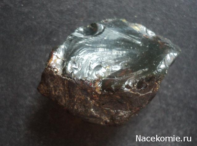 Минералы Сокровища Земли №84 - Янтарь