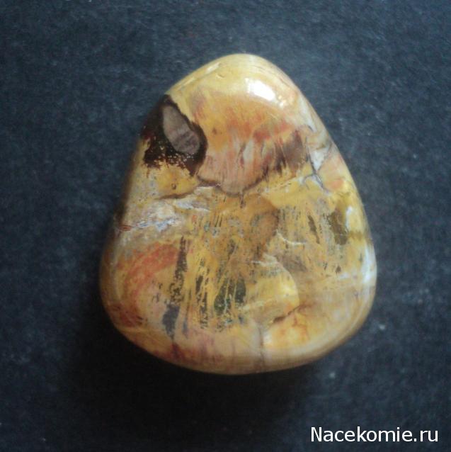 Энергия Камней №32 - Древесный опал