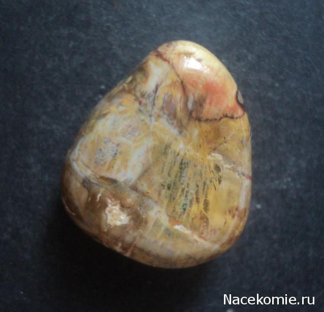 Энергия Камней №32 - Древесный опал