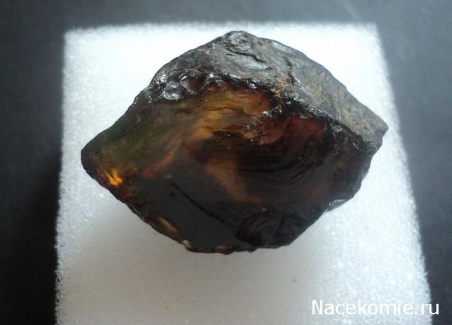 Минералы Сокровища Земли №84 - Янтарь