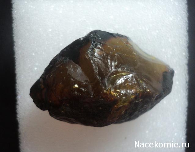 Минералы Сокровища Земли №84 - Янтарь