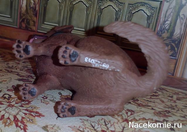 Matrena - Дом семьи де Монфор