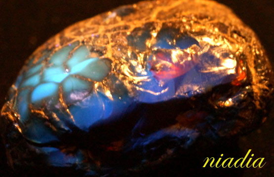 Минералы Сокровища Земли №84 - Янтарь