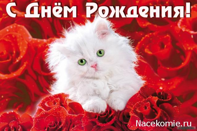 Наши Дни Рождения