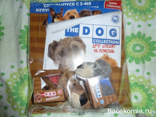 The Dog Collection 2015 - График Выхода и обсуждение