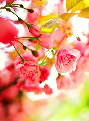 Наши Дни Рождения