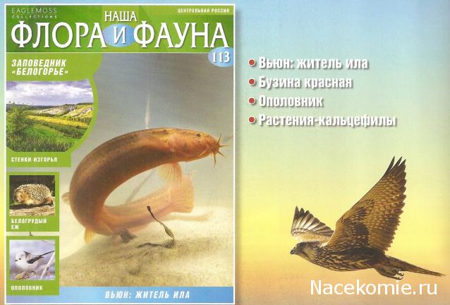 Наша Флора и Фауна - журнал (Eaglemoss)