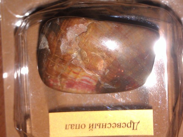 Энергия Камней №32 - Древесный опал