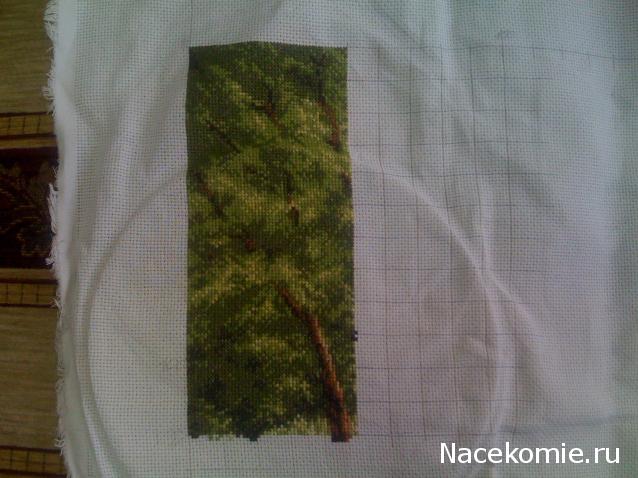 100 крестиков!