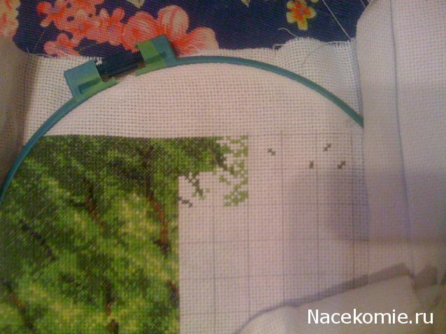 100 крестиков!