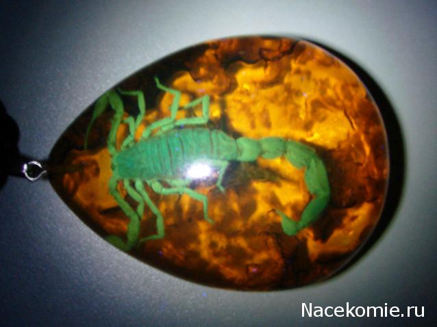 Минералы Сокровища Земли №84 - Янтарь