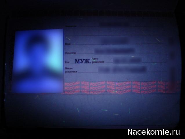 Минералы Сокровища Земли №84 - Янтарь