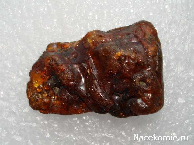 Минералы Сокровища Земли №84 - Янтарь