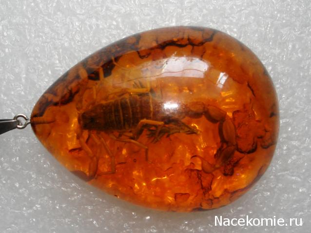 Минералы Сокровища Земли №84 - Янтарь