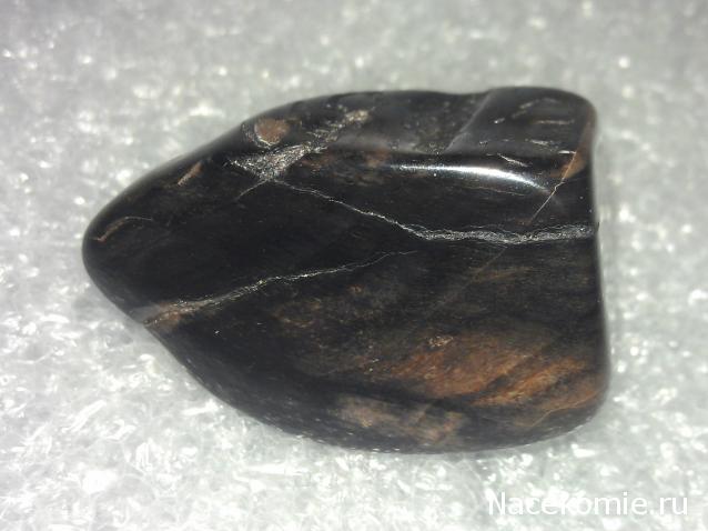 Энергия Камней №32 - Древесный опал