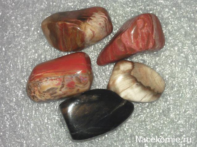 Энергия Камней №32 - Древесный опал