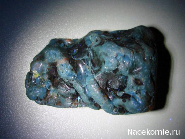 Минералы Сокровища Земли №84 - Янтарь