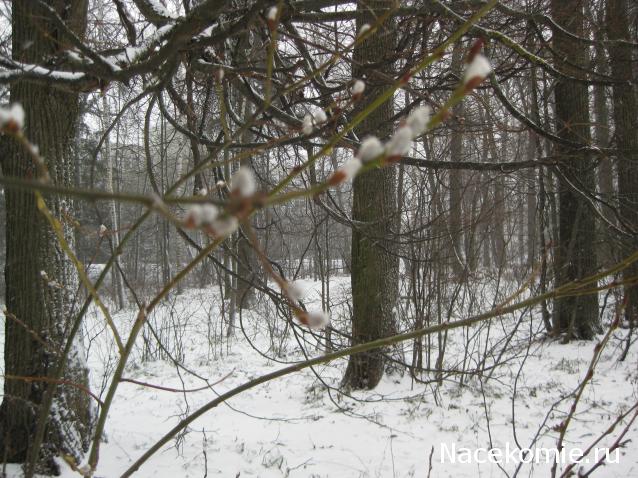 Куклы в народных костюмах – "Девчушки-болтушки"