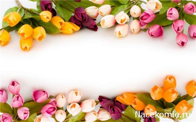 Наши Дни Рождения