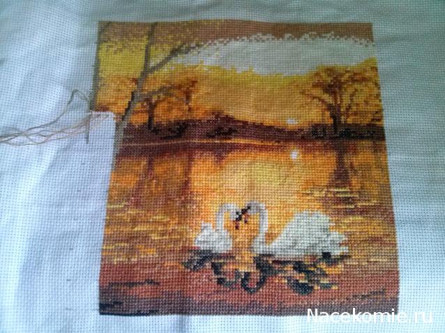 100 крестиков!