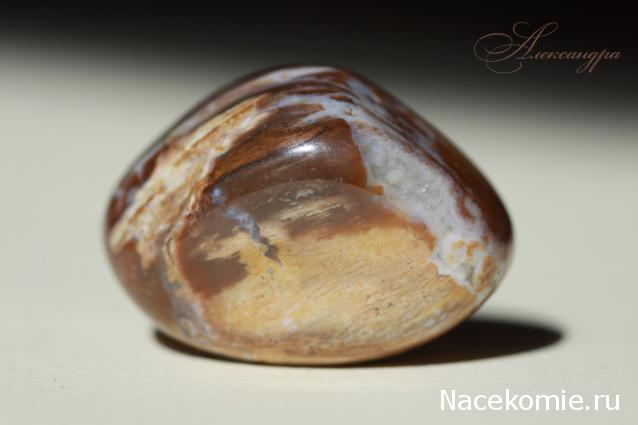 Энергия Камней №32 - Древесный опал