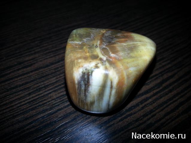 Энергия Камней №32 - Древесный опал