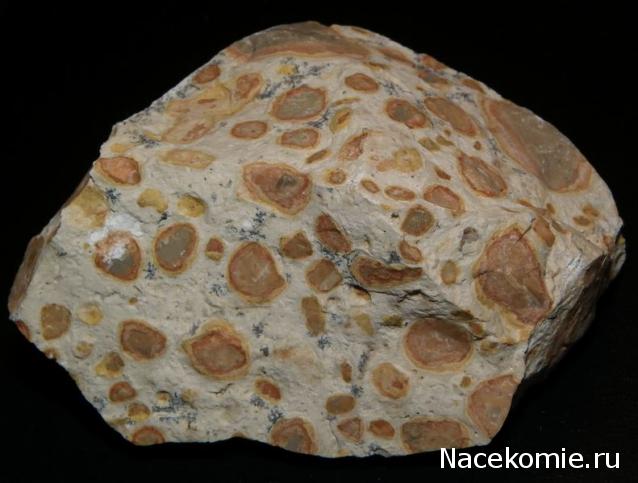 Минералы Сокровища Земли (2013) - График Выхода и обсуждение