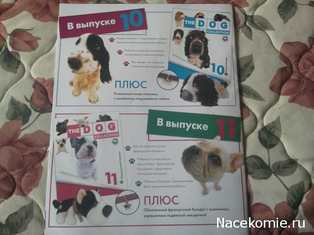The Dog Collection №9 - Родезийский риджбек