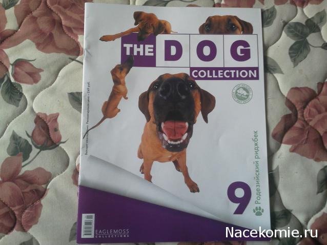 The Dog Collection №9 - Родезийский риджбек