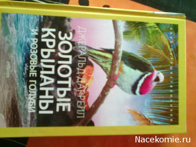 Клуб путешественников (Амфора)