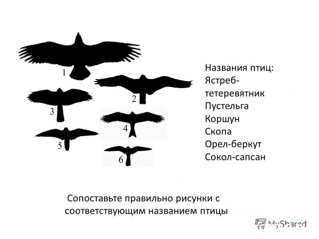 MAZEKA представляет