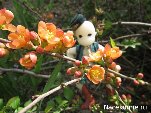 Куклы из наших коллекций №3. Авторские, антикварные, BJD куклы