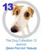 The Dog Collection №13 - Джек Рассел терьер