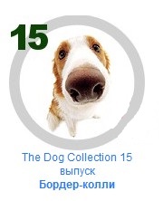 The Dog Collection №15 - Бордер колли