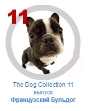 The Dog Collection №11 - Французский бульдог