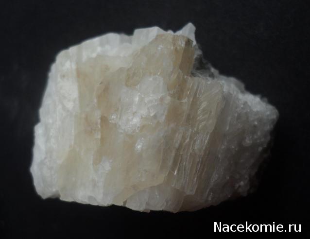 Минералы Сокровища Земли №87 - Колеманит