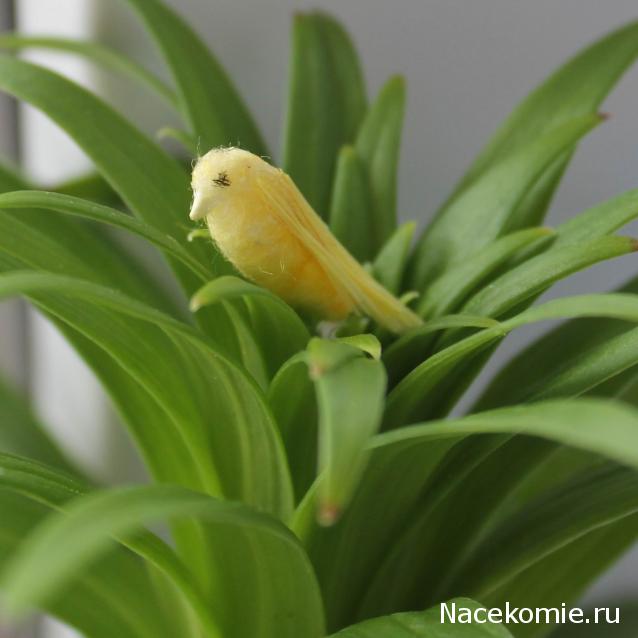 MAZEKA представляет
