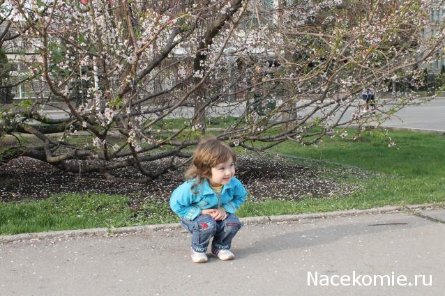 MAZEKA представляет