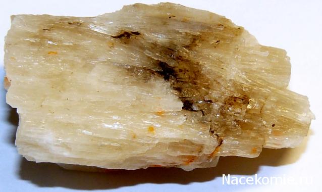 Минералы Сокровища Земли №87 - Колеманит