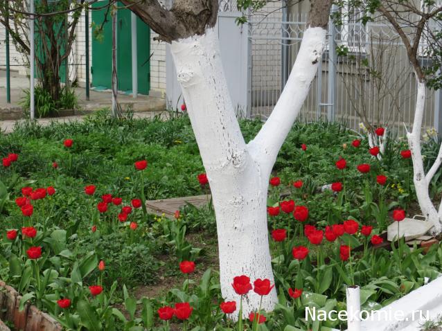 Куклы в народных костюмах – "Девчушки-болтушки"