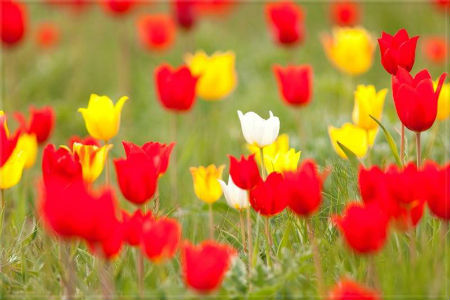 Куклы в народных костюмах №7 Кукла в калмыцком праздничном костюме