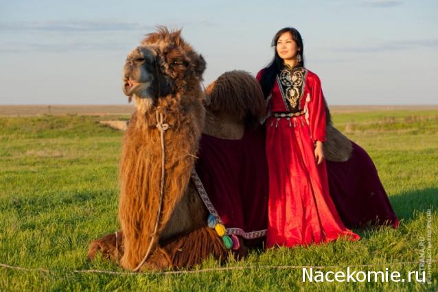 Куклы в народных костюмах №7 Кукла в калмыцком праздничном костюме