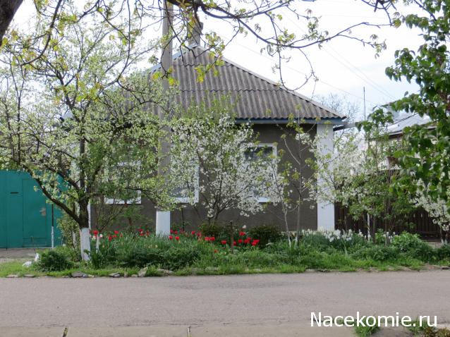 Куклы в народных костюмах – "Девчушки-болтушки"