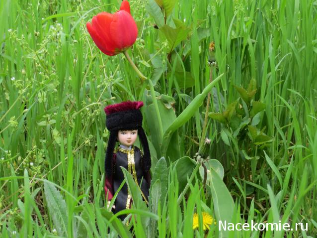 Куклы в народных костюмах №7 Кукла в калмыцком праздничном костюме