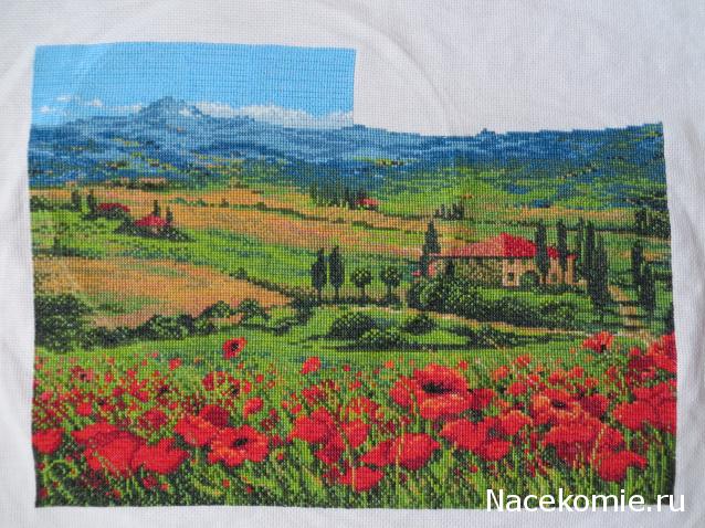 100 крестиков!